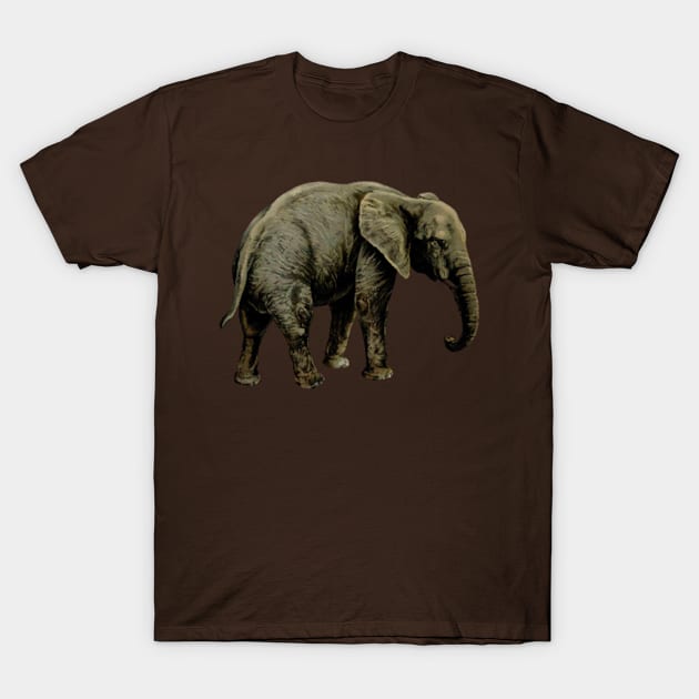 elephant T-Shirt by vabontchi